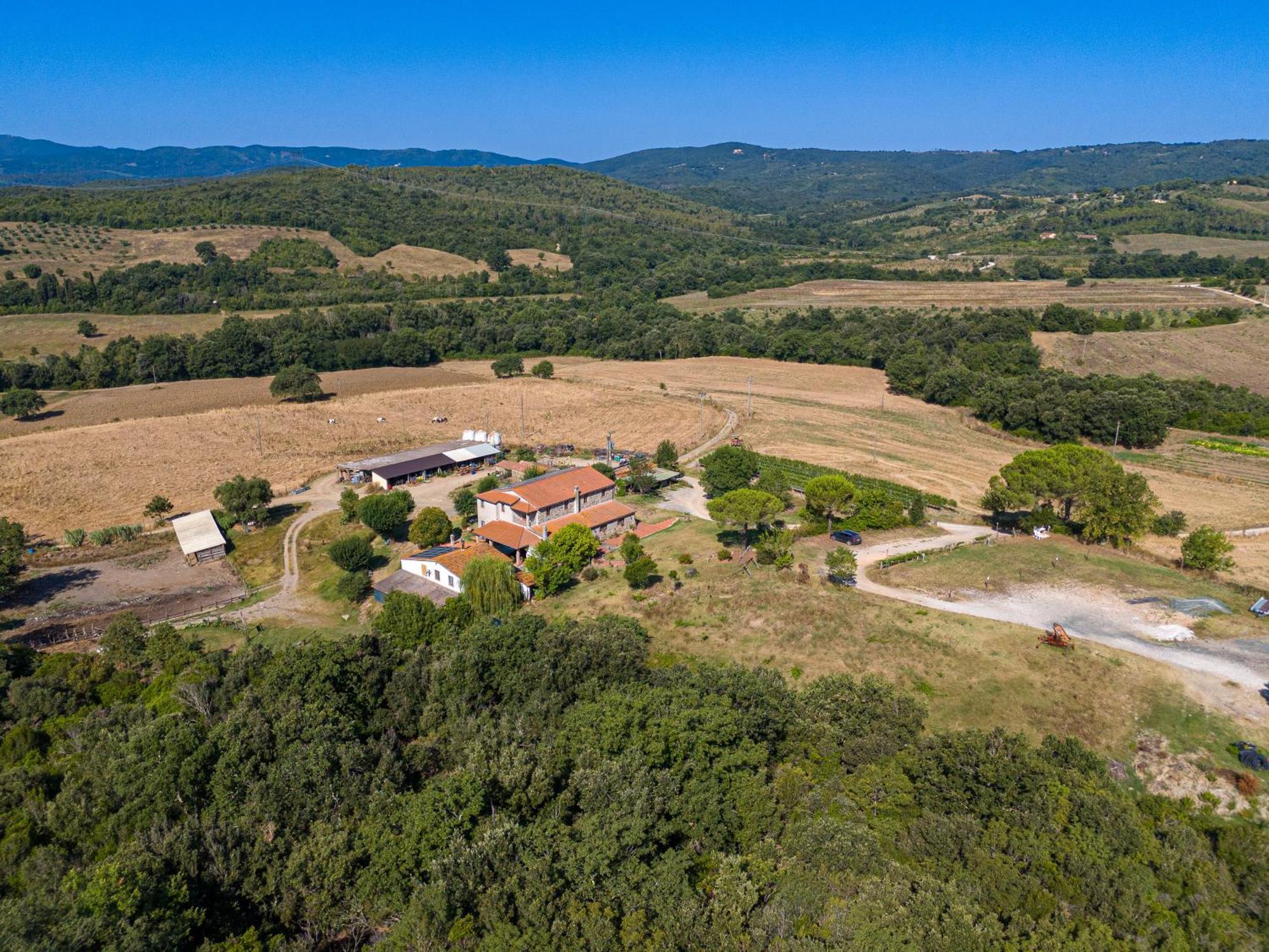 Agriturismo Tenuta Sant'Agnese Monteverdi Marittimo Dış mekan fotoğraf